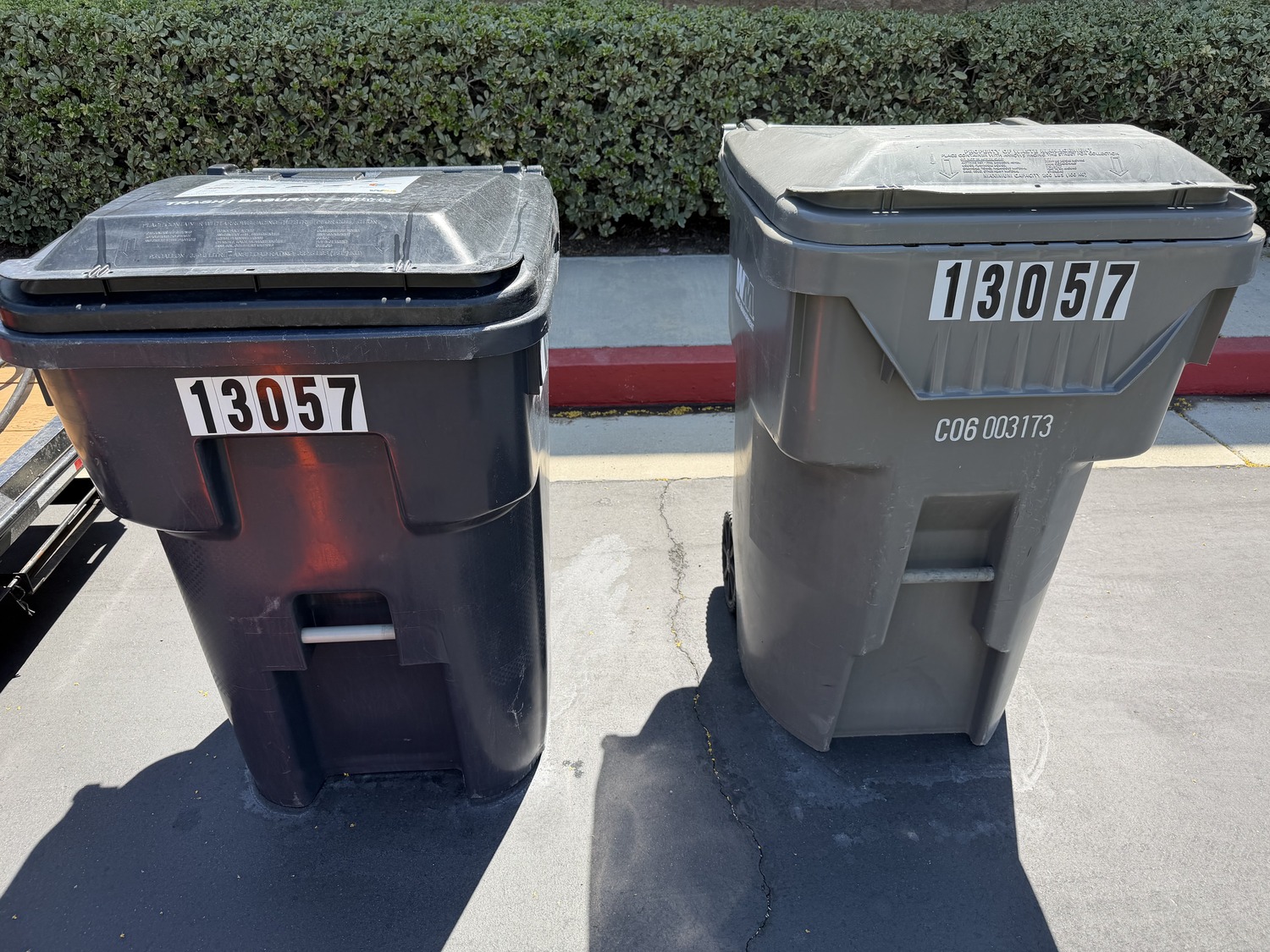 After: clean trash bins at the curb