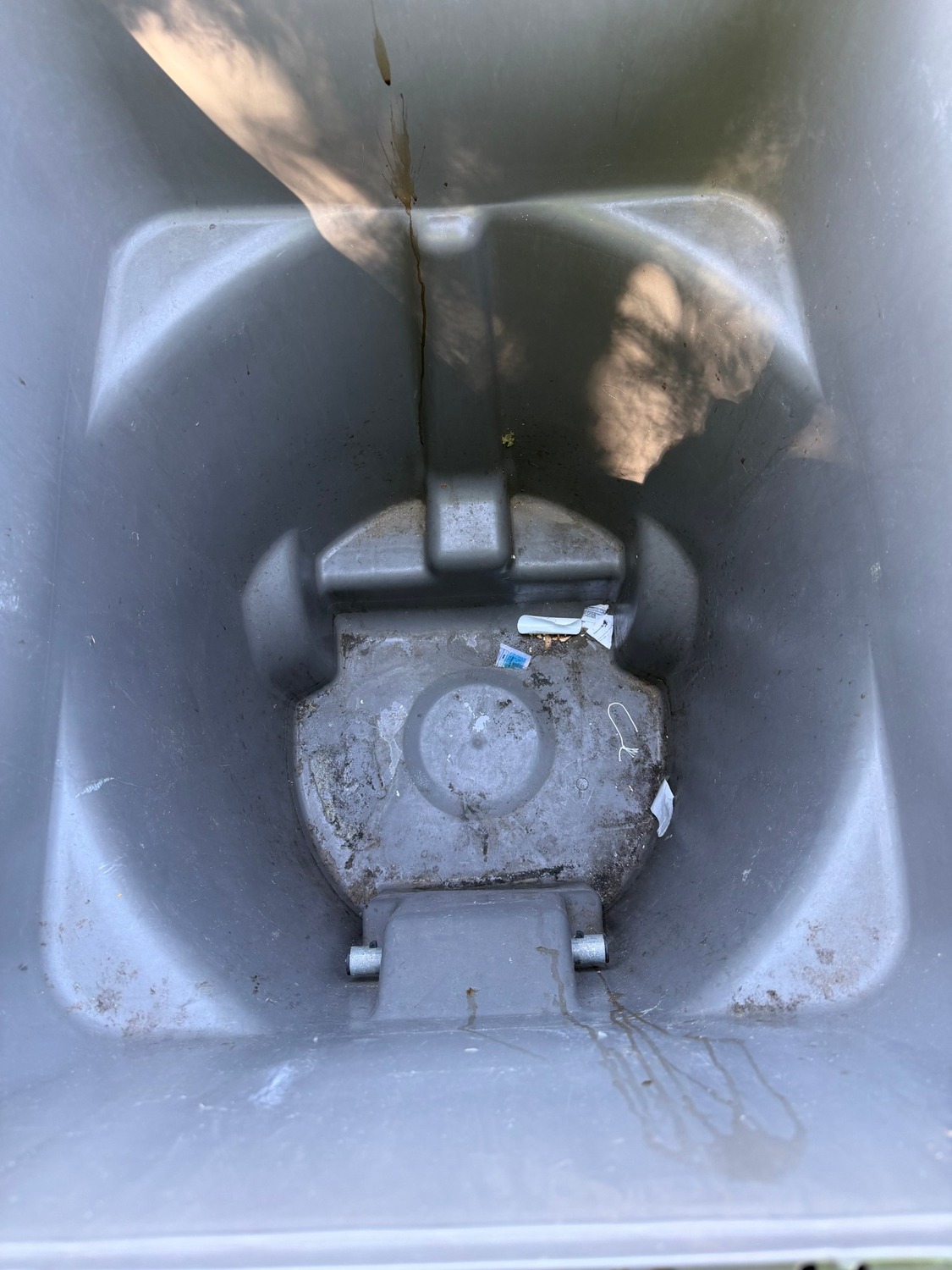 Before: dirty trash bin interior